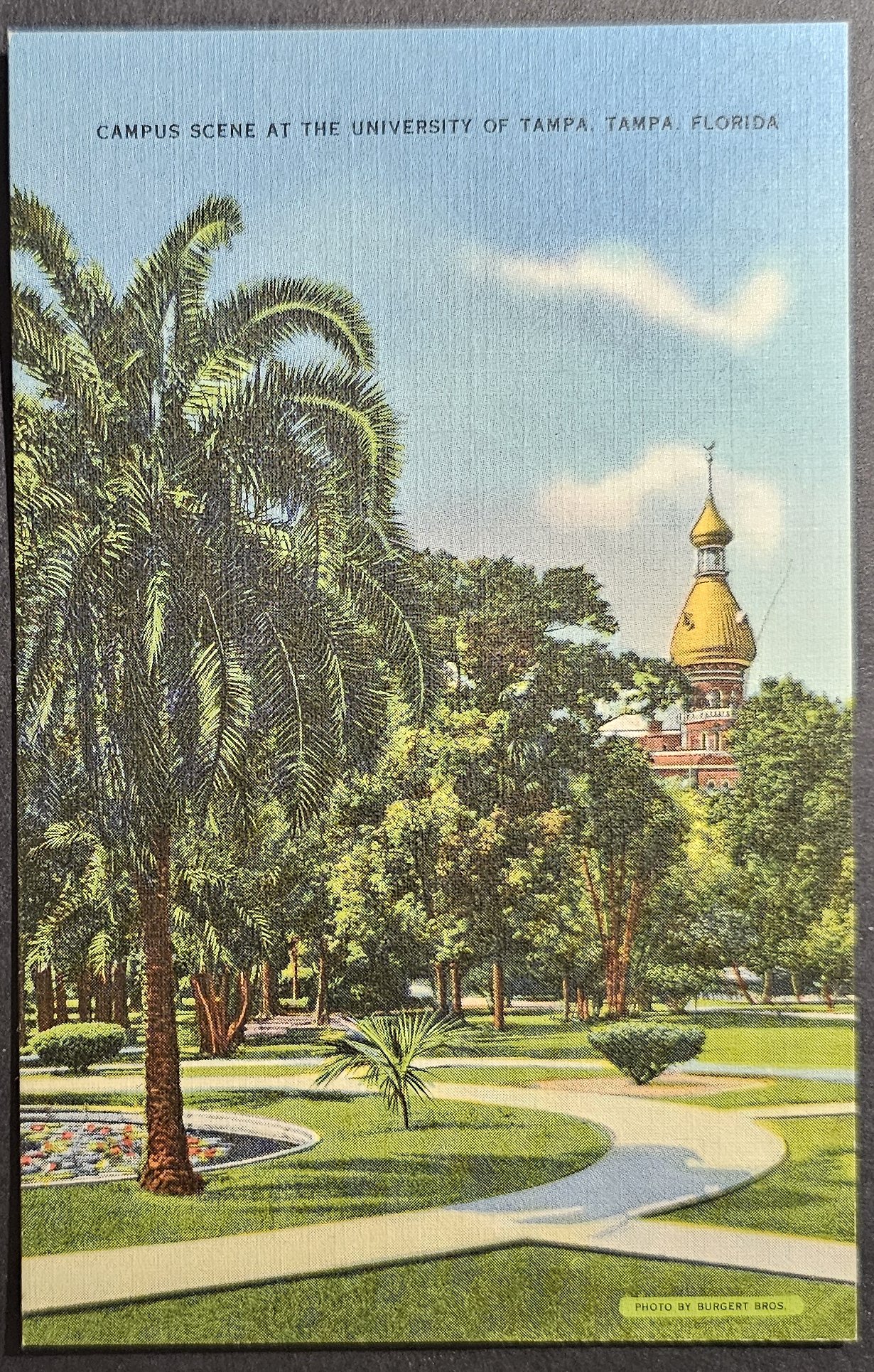 postcard USA - FL - Florida #0057 (image for) postcard USA - FL - Florida #0057